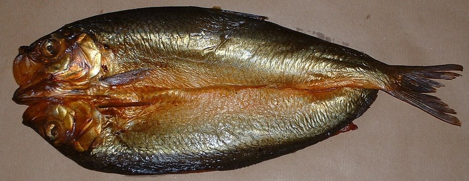 Kipper Kipper