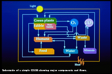 CELSS schematic from former CELSS research center at Purdue University